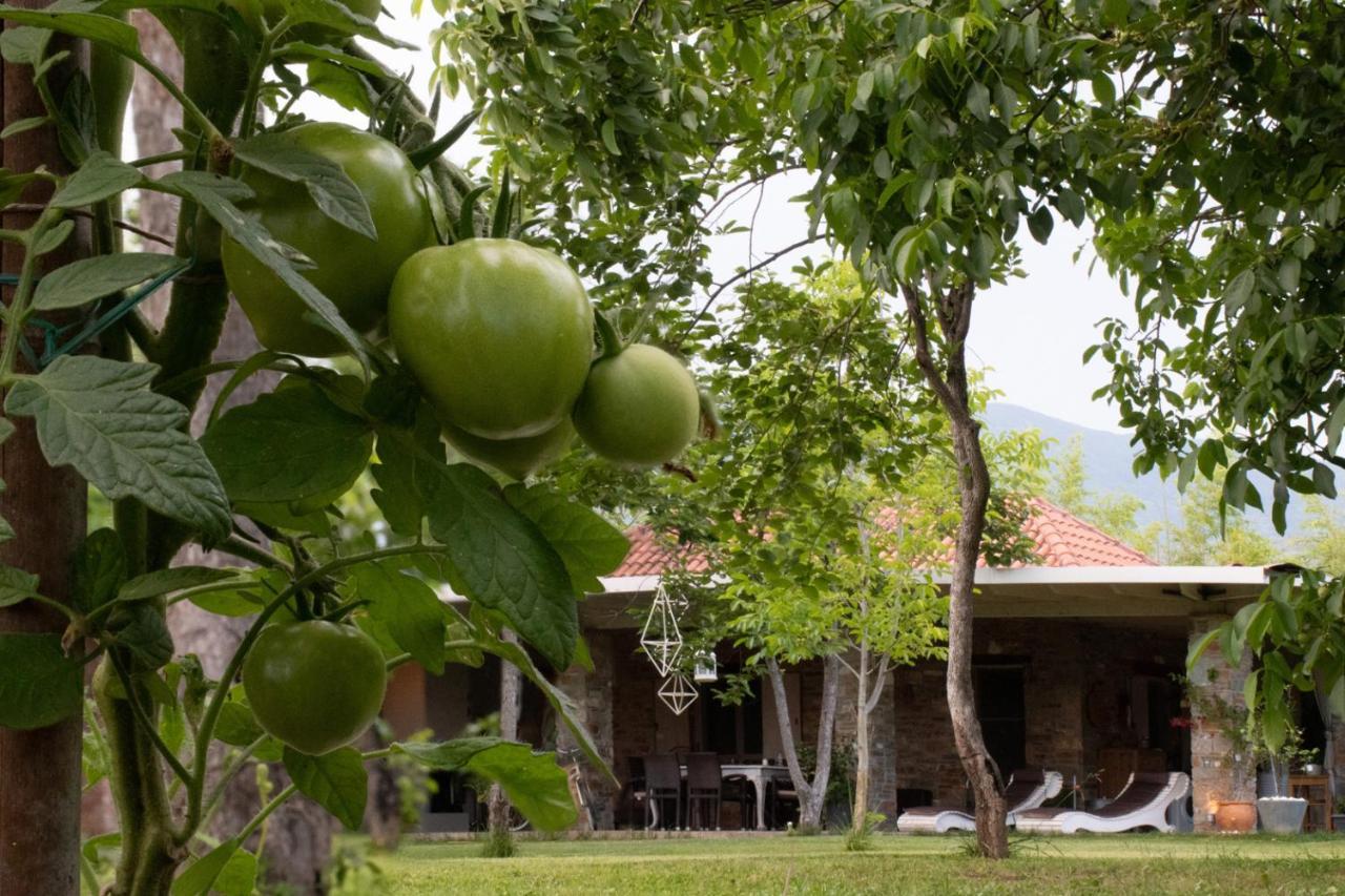 Appartamento Sinanis Garden House Volos Esterno foto